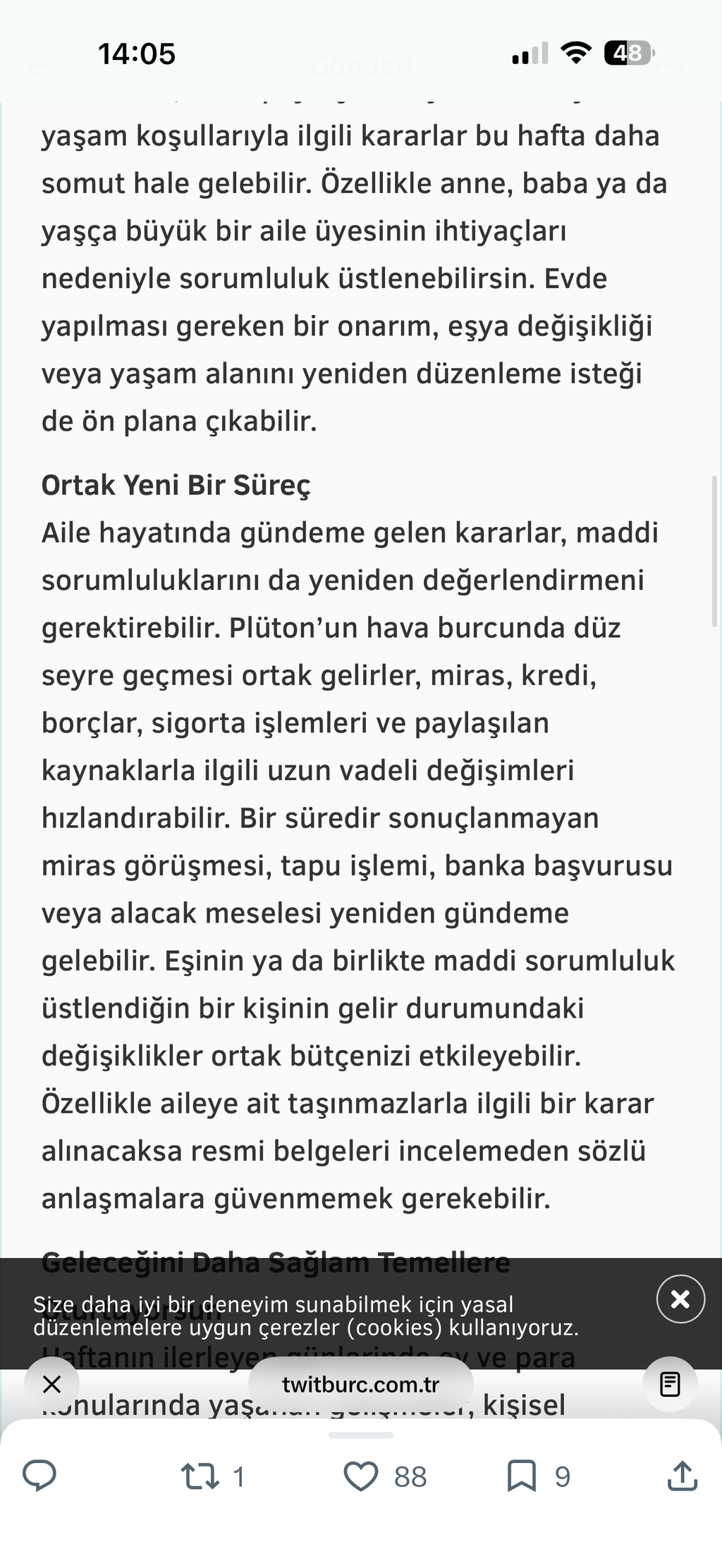 Alexia Yün Ceket Vizon
