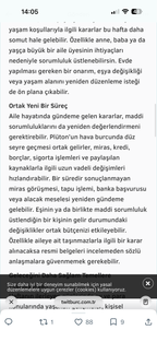 Alexia Yün Ceket Vizon