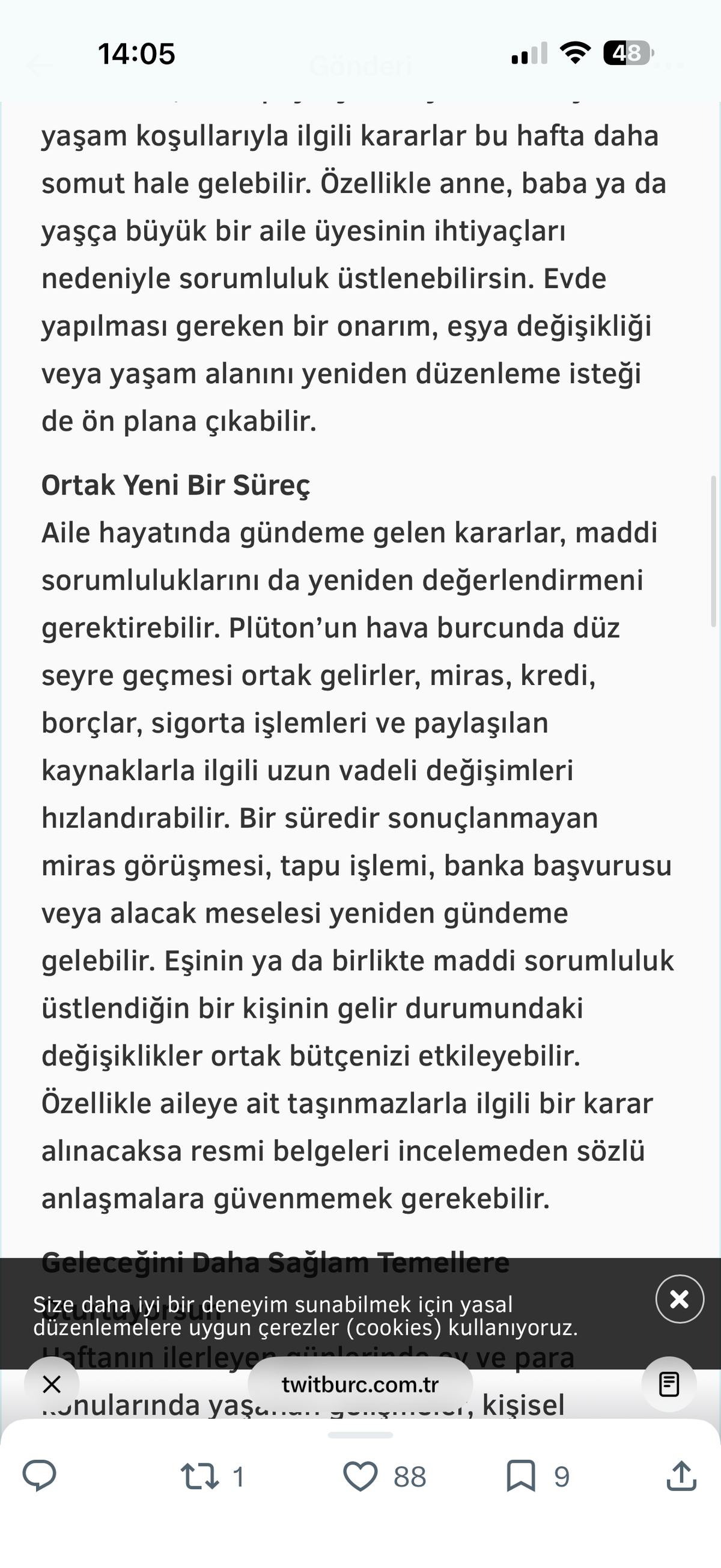 Alexia Yün Ceket Vizon